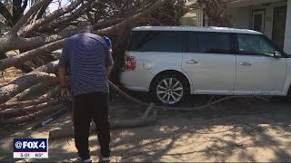 Suspected tornados, straight-line winds cause damage across North Texas