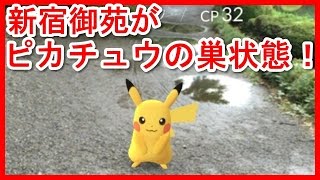 【衝撃映像】【閲覧注意】【ポケモンGO】ピカチュウの巣・新宿御苑がお祭り状態！ＷＷＷ