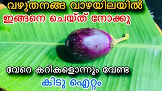 വഴുതനങ്ങ വാഴയിലയിൽ ഇങ്ങനെ ചെയ്ത് നോക്കൂ👌ചോറിന് വേറെ കറികളൊന്നും വേണ്ട😋| Brinjal Recipe In Malayalam