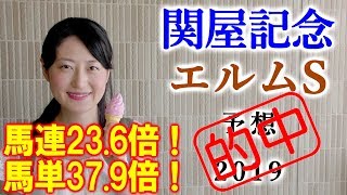 ◎〇▲で馬連\u0026馬単完全的中☆【競馬】関屋記念 エルムS 2019 予想 ヨーコヨソー