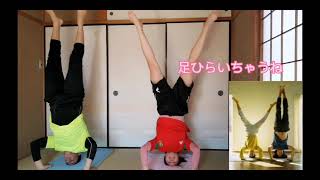 Berber Japan Vlog #3 Couple Yoga カップルヨガに挑戦！