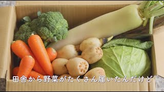 余った食材を簡単に保存する方法【くらしドラマ】