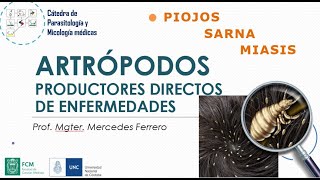 ARTRÓPODOS-1. Productores directos de enfermedades