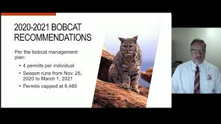 July 2020 - Utah DWR 2020-21 Bobcat and Furbearer Proposals