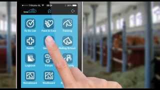 Horsecount mobile: Gestation Mobile