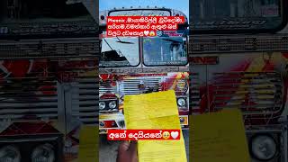 බස් වලට දඩකොළ🥺🤍#buslovers #busfan#dhamrejini #kasiya_bus_kingdom #viralvideo #new #srilanka#popular