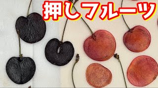 押し花乾燥シートを使用して  さくらんぼの押しフルーツを作ってみた。