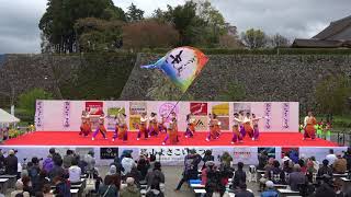 よさこい連「わ」　2018篠山よさこいまつり4/15(日)　三の丸会場