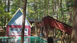 Lightning the diving horse at magic forest
