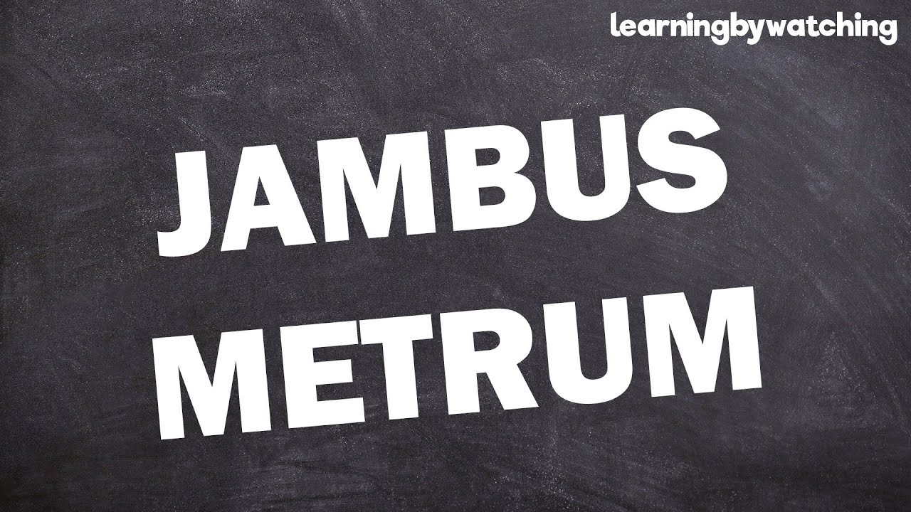 Jambus Metrum Einfach Erklärt! - YouTube