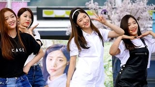 160625 다이아 (DIA) 정채연 (ChaeYeon) 왠지 (Somehow) 직캠 Fancam - 여의도 한강공원