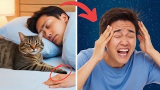 「警告: 猫と一緒に寝ると人生が変わる可能性があります – 今何が起こるかを調べてください!」