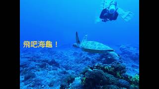 2021 March 綠島水肺潛旅 船潛 part.1 #綠島 #KuroshioDiving #酷落潛水 #scubadiving