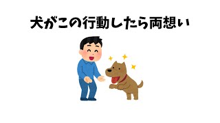 犬がこの行動したら両想い