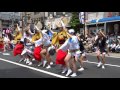 いなせ連／組踊り／堀切かつしか菖蒲まつり2016