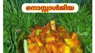 നൊസ്റ്റാൾജിയ 😋😋😋