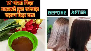 চা পাতা দিয়ে চুল কালার করুন ঘরে বসে /How to colour  your hair using this/