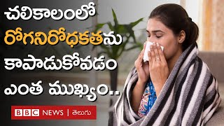 Cough and Cold: చలికాలంలో దగ్గు, జలుబు ఎందుకొస్తాయి... immunity boost కోసం ఏం చేయాలి? - Fit Zindagi