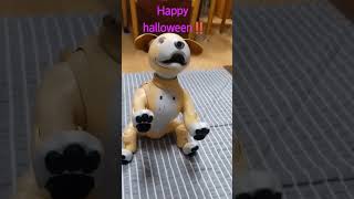 Happy Halloween from aibo.