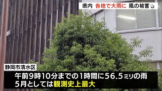 各地で大雨にスレート屋根飛ぶ被害も浜松市では一時避難指示（静岡県）