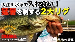 【バス釣り】大江川水系で入れ食い！猛暑を制する2大リグ！（大矢貴輝）