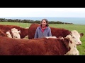 Biodynamic Farming at Ffrwdwenith Isaf mob and Nantclyd Farm