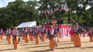 夢源風人 第16回 こいや祭り 丼舞Re：  大阪城公園 太陽の広場会場(やぐら会場)