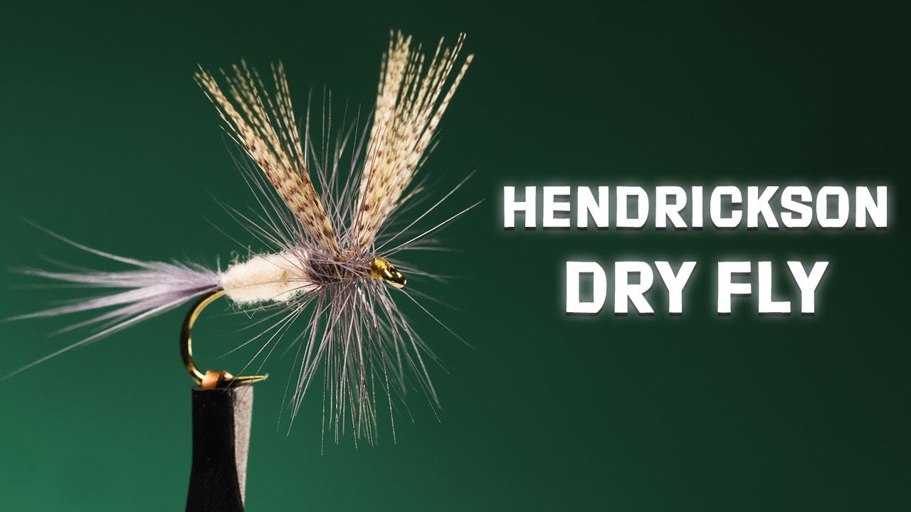 Hendrickson Dry Fly Pattern | Historic & Effective | Fly Tying Tutorial ...