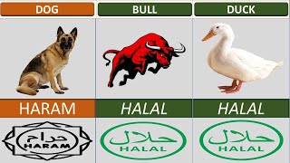 Halal and Haram Meat in Islam || Final Comparison