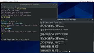 Bash Shell Programming - Here Documents