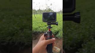 My new GoPro Hero 10 Black