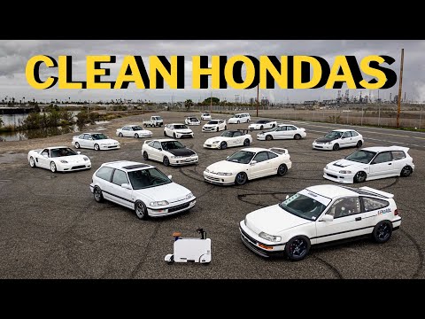 Are These The? Cleanest White Honda Builds Documentary! EPIC!