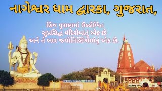 નાગેશ્વર એ શિવ પુરાણમાં ઉલ્લેખિત સુપ્રસિદ્ધ મંદિરોમાંનું એક છે અને તે બાર જ્યોતિર્લિંગોમાંનું એક છે