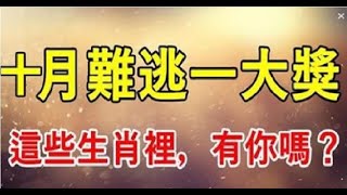 這些生肖10月被財神盯上，天降橫財多，這些生肖難逃一大獎 | 星座生肖