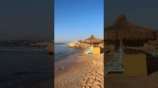 🦈 SUNRISE REMAL BEACH 5*, Шарм Эль Шейх Египет