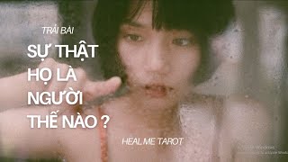 Trải bài : Sự thật về con người của họ