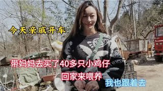 妈妈去花了160多元买了20个小鸡，家里共60只小鸡仔三个品种