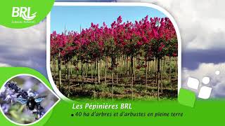 Les Pépinières BRL en images