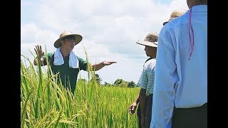 Marubeni | A visit to Marubeni Myanmar Fertilizer (Burmese version)