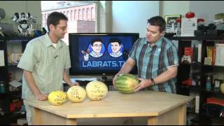 3G and 4G Explained - Food Demo - Lab Rats #233
