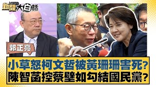 小草怒柯文哲被黃珊珊害死？陳智菡控蔡壁如勾結國民黨？【新聞大白話】20241227-8｜郭正亮 侯漢廷 陳揮文