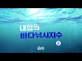 내일의 바다낚시지수 5월3일 날씨 파도 수온 풍속 안정적 완연한 봄 낚시하기 좋은 날 ytn