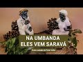 Na Umbanda eles vem saravá (com letra) - Ponto cantado de Preto Velho