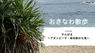 おきなわ散歩　vol.22 やんばる　〜アダンビーチ・喜如嘉の七滝〜