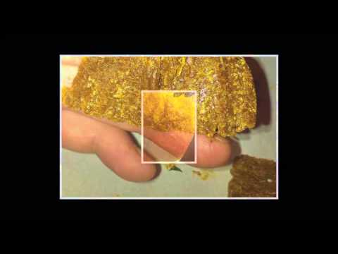 Tamisium Extractors - Extracted Images Tamisium Extractors - Extracted Images