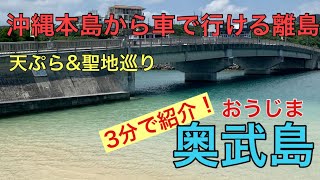 天ぷらが旨い！【奥武島/沖縄】天ぷら\u0026竜宮神\u0026御嶽！【観光•旅行ガイド】