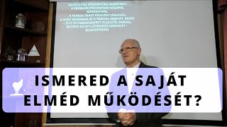 Ismered a saját elméd működését? - Szedlacsik Miklós mester-coach