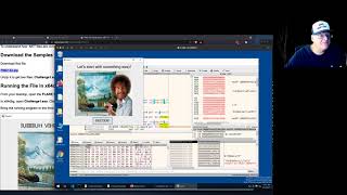 Reversing a .NET Executable