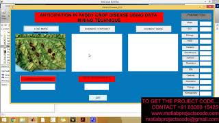 Detection and measurement of paddy leaf disease symptoms using image processing