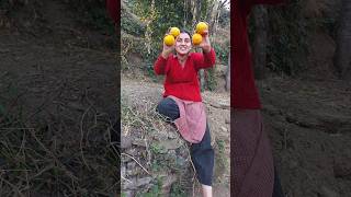 Is fruit ka naam kya hoga 😁 #shrutipahari #pahari#fruit #orange #chor #himachaligirl #fruitlove